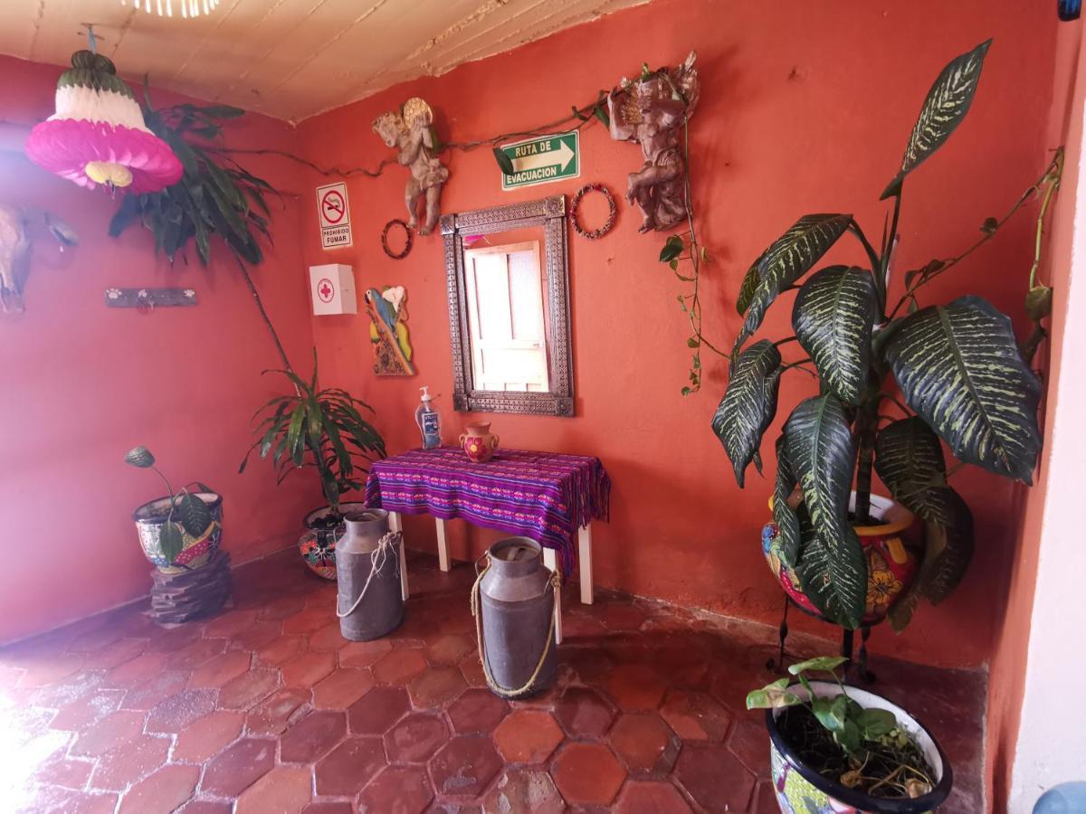 圣米格尔－德阿连德 La Casa Del Abuelo旅舍 外观 照片